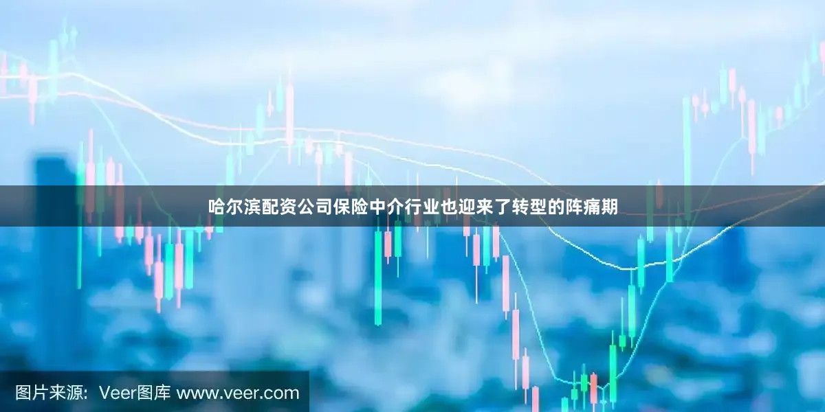 哈尔滨配资公司保险中介行业也迎来了转型的阵痛期
