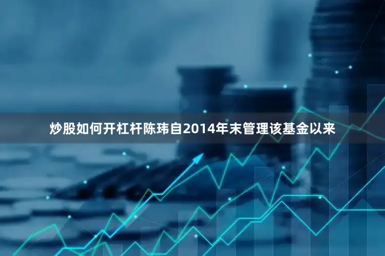 炒股如何开杠杆陈玮自2014年末管理该基金以来