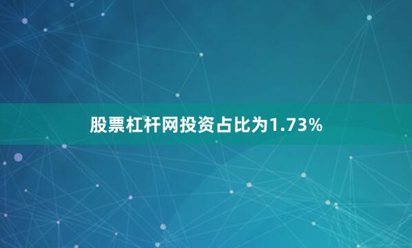 股票杠杆网投资占比为1.73%